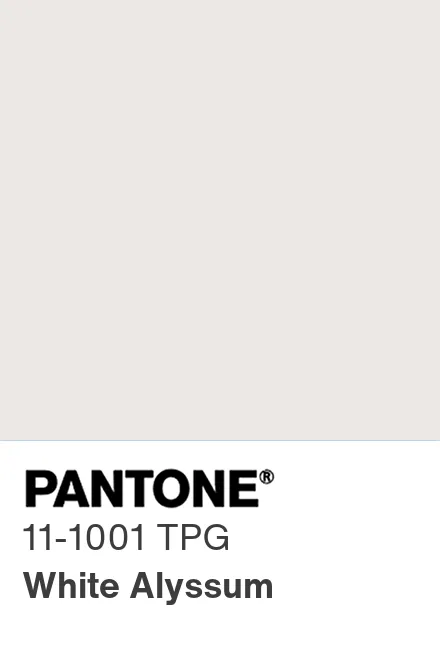 Pantone Tpg White Alyssum Pantone Pantone