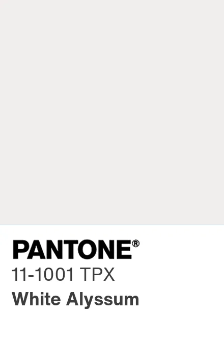 Pantone 11s best sale