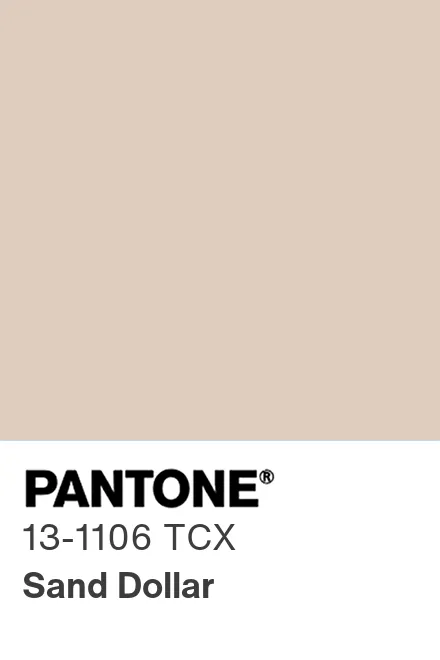 PANTONE 13-1106 TCX Sand Dollar - Pantone色号库|Pantone潘通中国官网