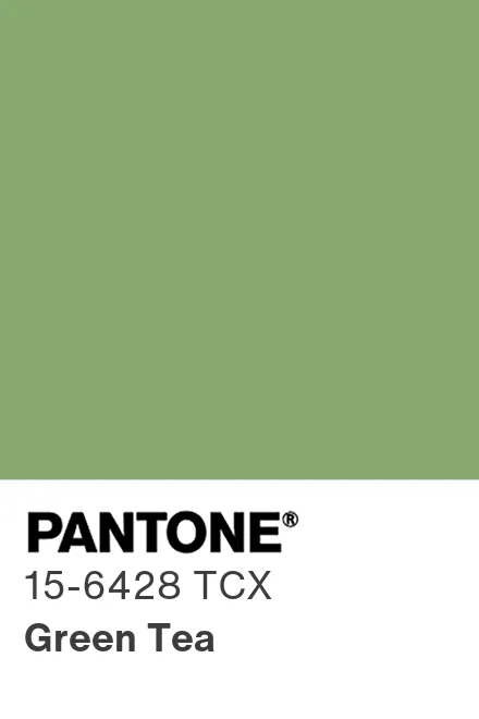 PANTONE 15-6428 TCX Green Tea - Pantone色号库|Pantone潘通中国官网