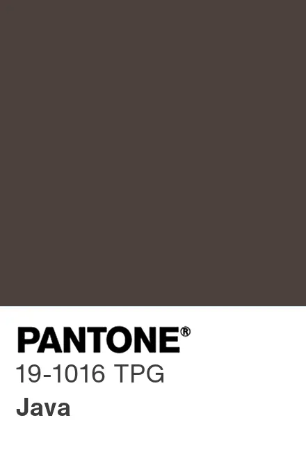 PANTONE 19-1016 TPG Java - Pantone色号库|Pantone潘通中国官网