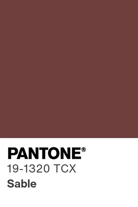 PANTONE 19-1320 TCX Sable - Pantone色号库|Pantone潘通中国官网