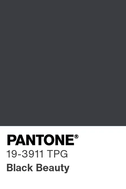 PANTONE 19-3911 TPG Black Beauty - Pantone色号库|Pantone潘通中国官网