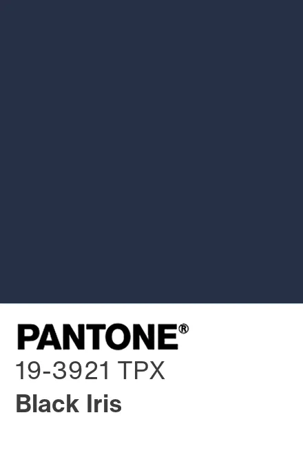 PANTONE 19-3921 TPG Black Iris - Pantone色号库|Pantone潘通中国官网